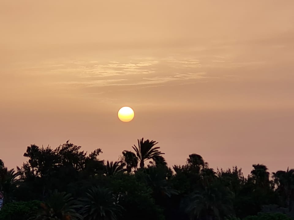 Ausblick Iberostar Waves Gaviotas Park
