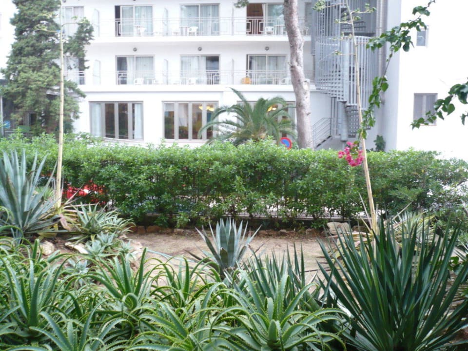 Grünstreifen vor der Terrasse Hotel Osiris