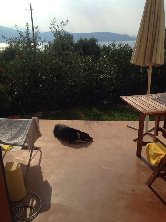 Aussicht von der Terrasse Guesthouse Caselli Vigole al Sole