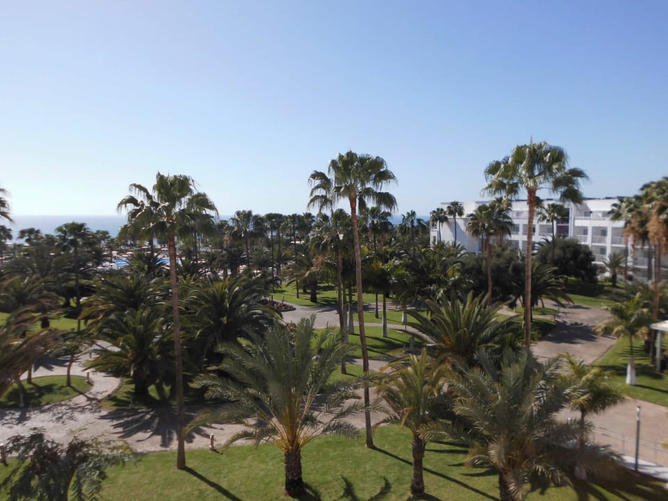 Gartenanlage Hotel Riu Gran Canaria