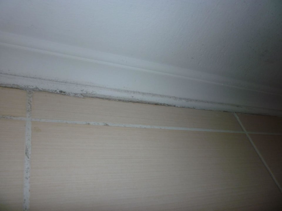 Schimmel überall Club Resort Atlantis