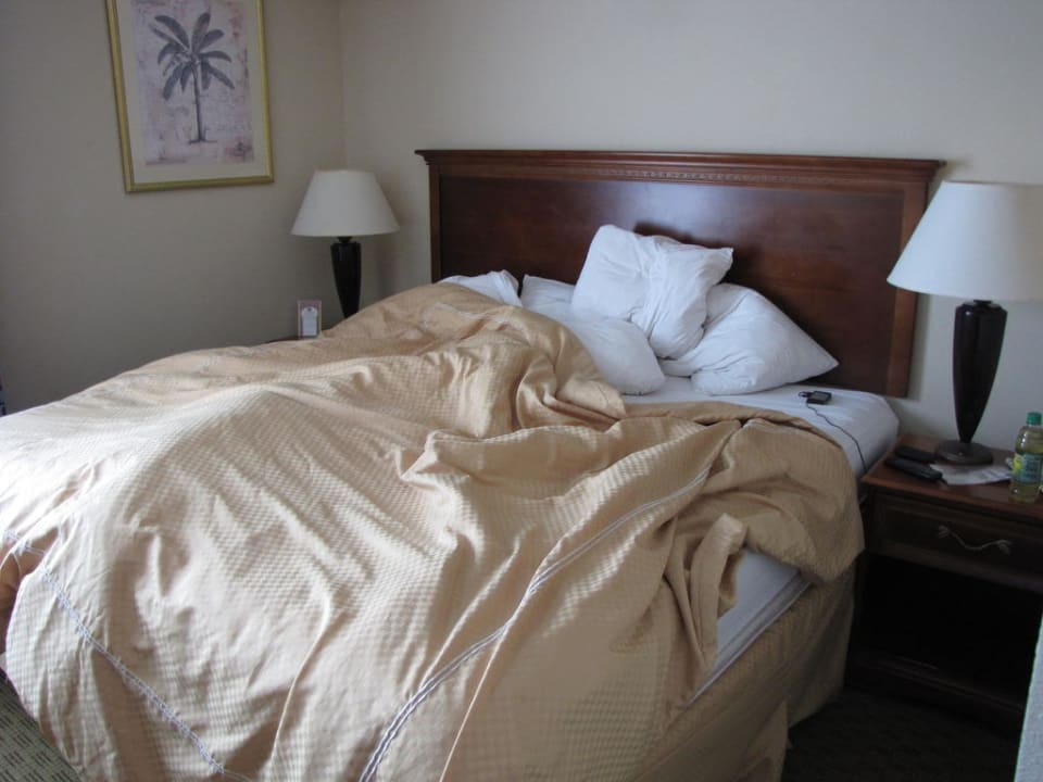 Bett Holiday Inn Express Jacksonville East, an IHG Hotel