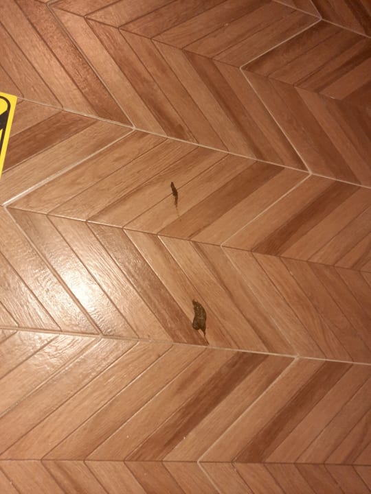 Sonstiges Dg Hotels Rose Resort