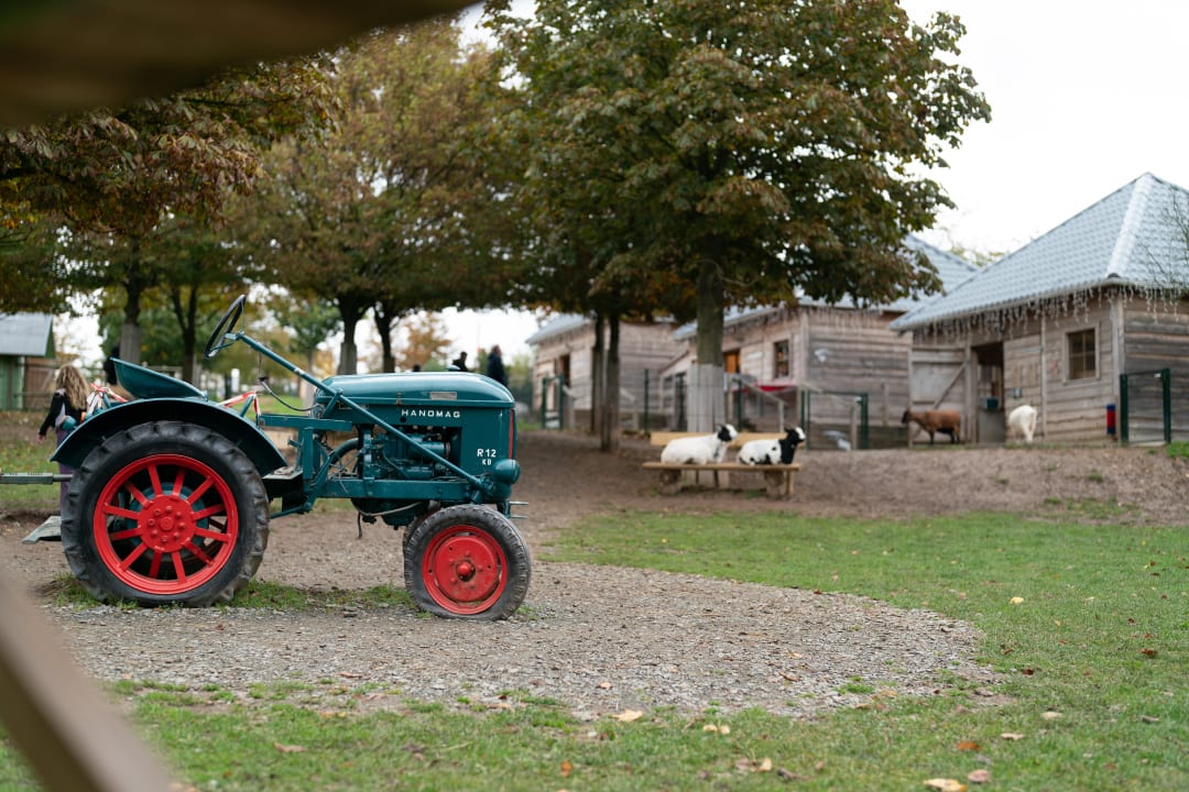 Sport & Freizeit Center Parcs Park Hochsauerland