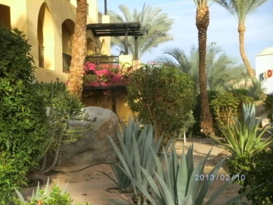 Schön bepflanzt Jaz Solaya