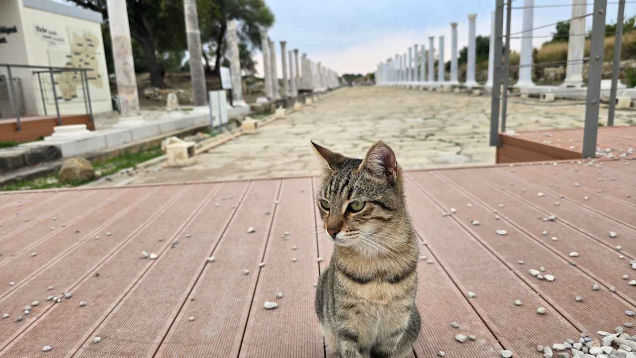 Sonstiges Oz Hotels Side Premium