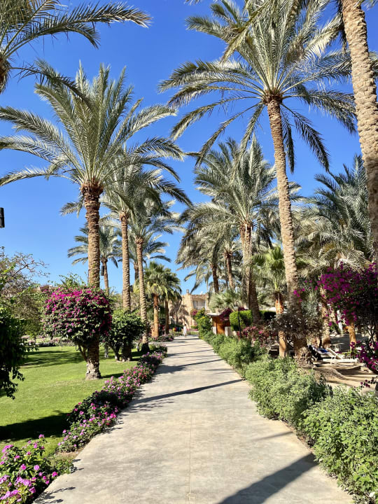 Gartenanlage Brayka Bay Resort