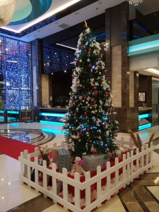 Lobby Luna Blanca Resort & Spa