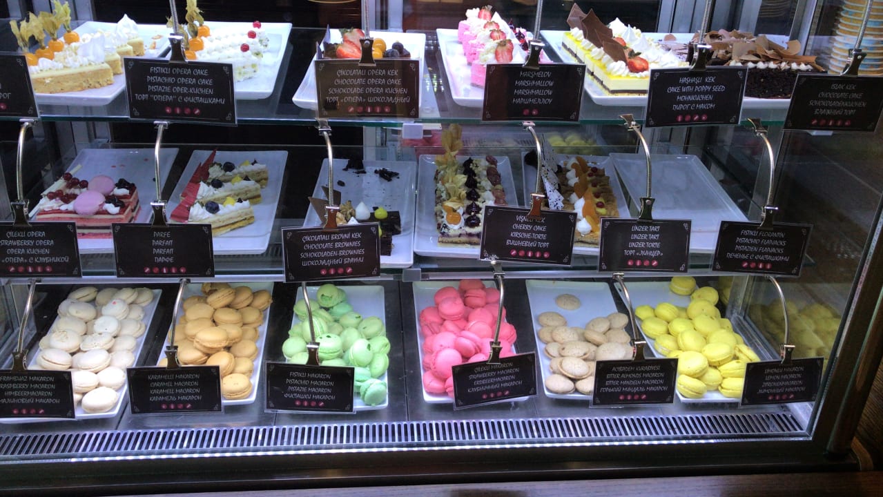 Gastro Acanthus Cennet Barut Collection