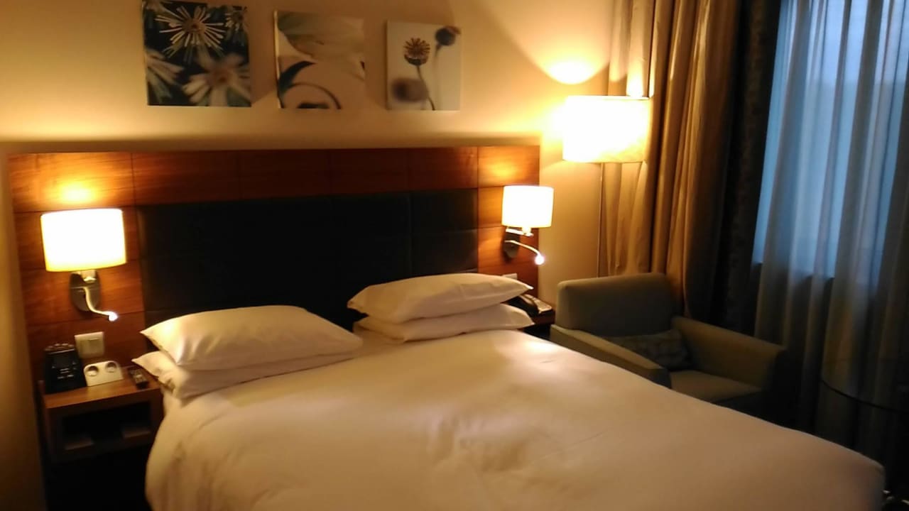 6227 Hilton Garden Inn Frankfurt Airport