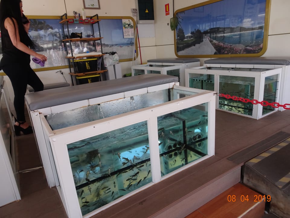 Sport & Freizeit Hotel Riu Palace Palmeras