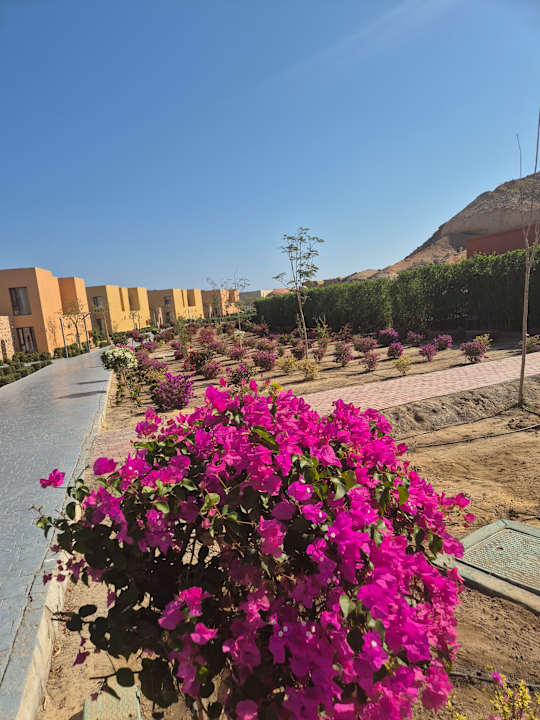 Gartenanlage Pickalbatros Villaggio Resort - Portofino