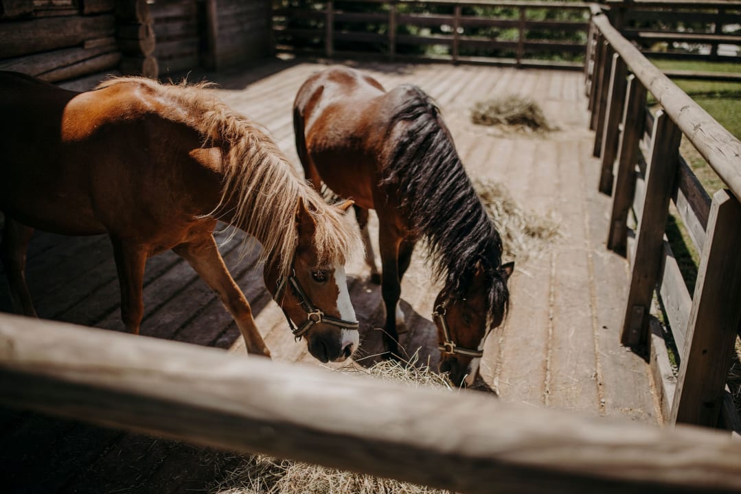 Sport & Freizeit Hotel Ferienparadies Lerch