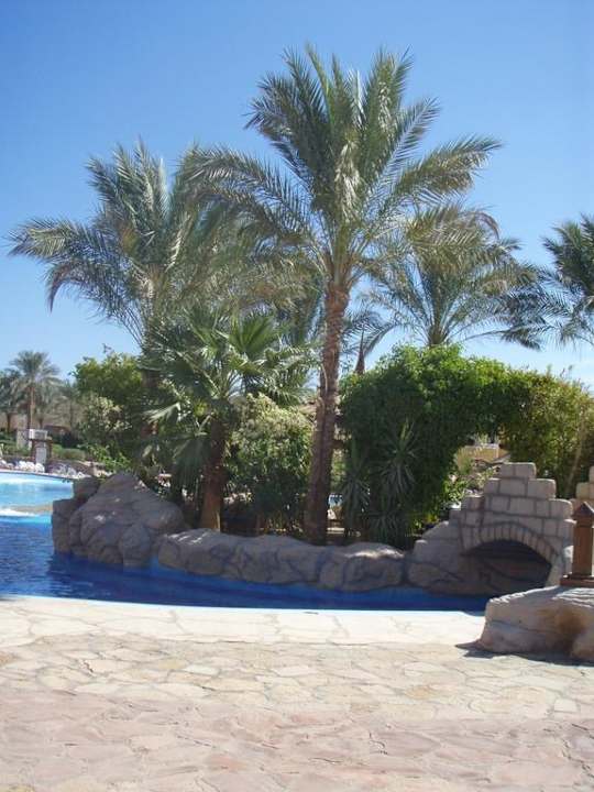 Basen Hotel El Faraana Reef Resort