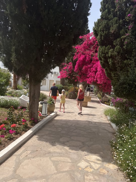 Gartenanlage The Orangers Beach Resort and Bungalows