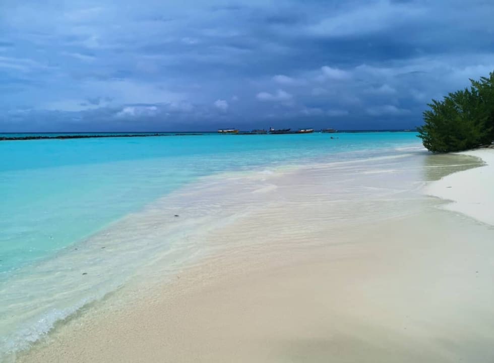 Strand Summer Island Maldives