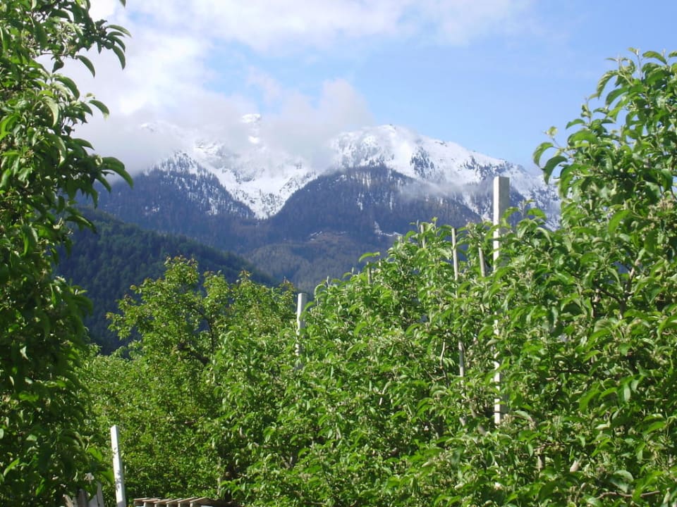 Wanderung durch die Apfelgärten Hotel Bauhof