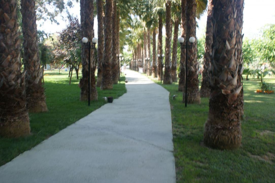 Garten im Gardenia Beach Hotel Gardenia Beach