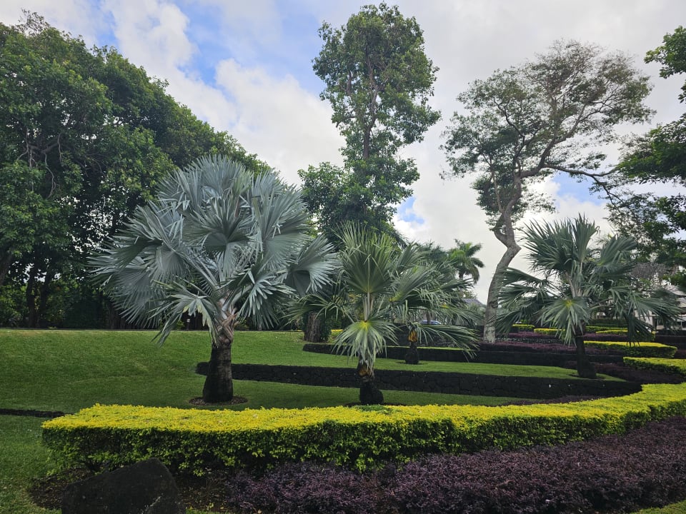 Gartenanlage Hotel Four Seasons Resort Mauritius at Anahita
