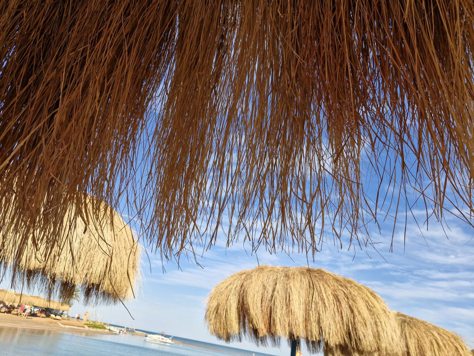 Strand Club Paradisio El Gouna, Red Sea