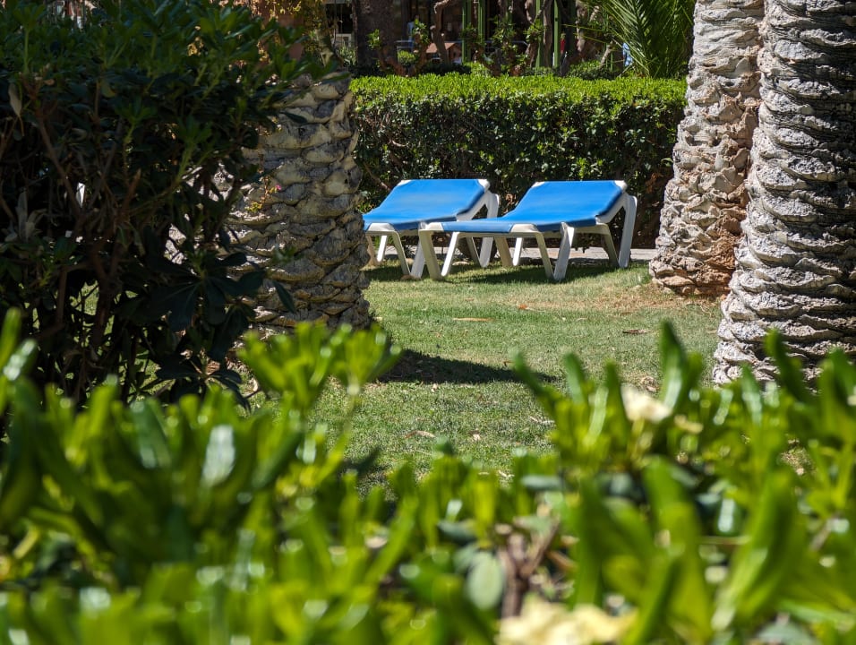 Gartenanlage Apollonia Beach Resort & Spa