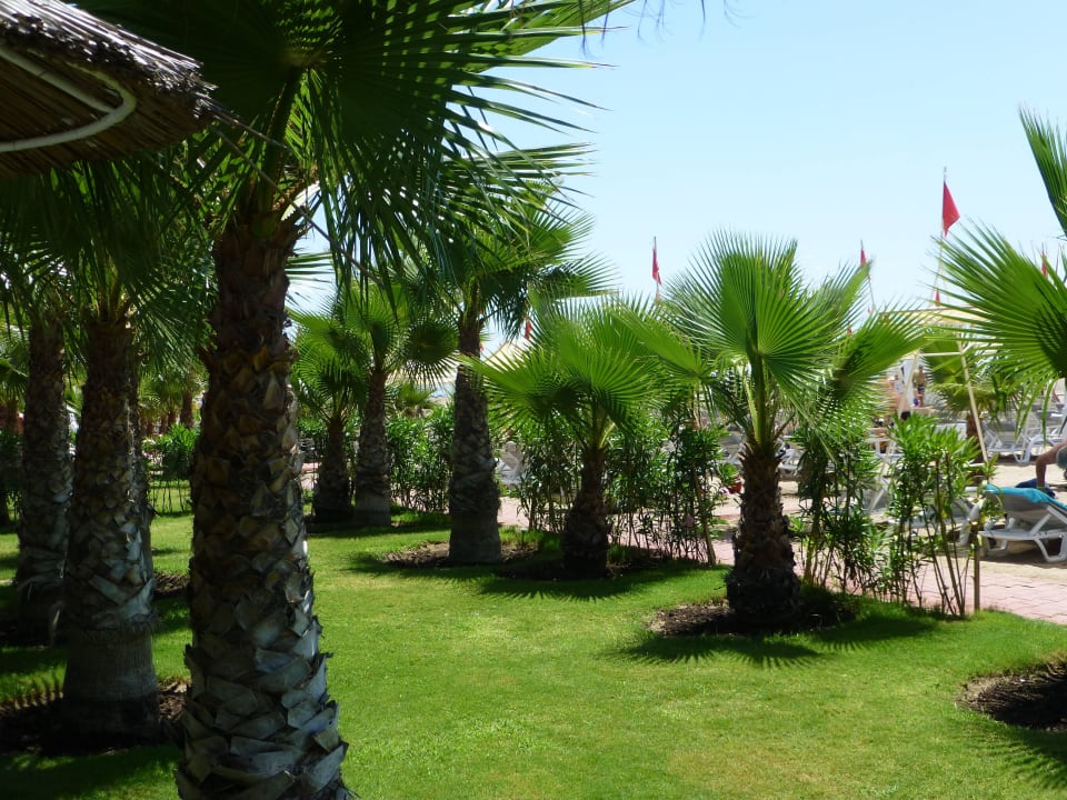 Vor dem Strand Hotel Delphin Palace