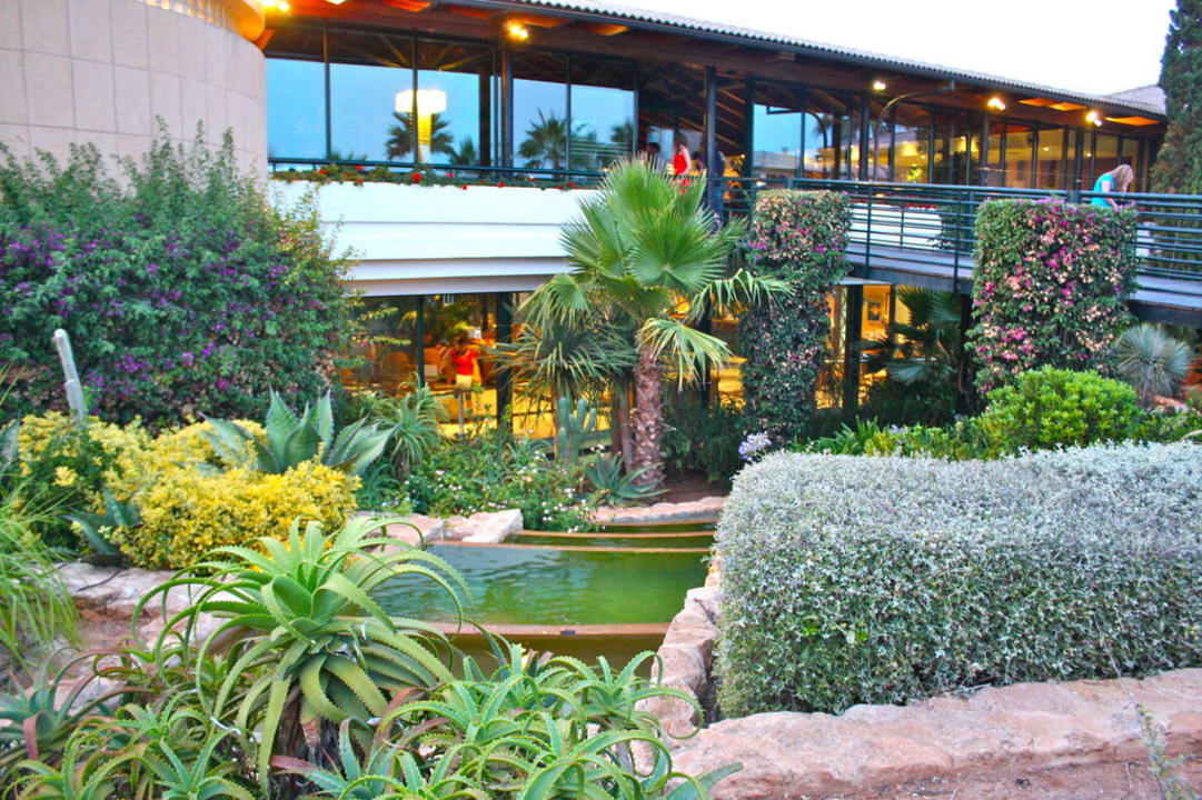 Lobby von hinten Blau Colònia Sant Jordi