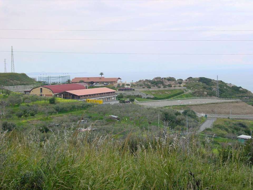 Il Parco degli Ulivi Il Parco Degli Ulivi