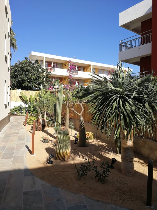 "Gartenanlage" Alhambra Boutique Apartments by TAM Resorts (Playa del