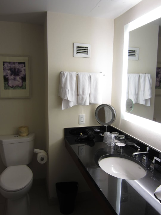 Tolle großes Bas Hotel The Westin Boston Waterfront