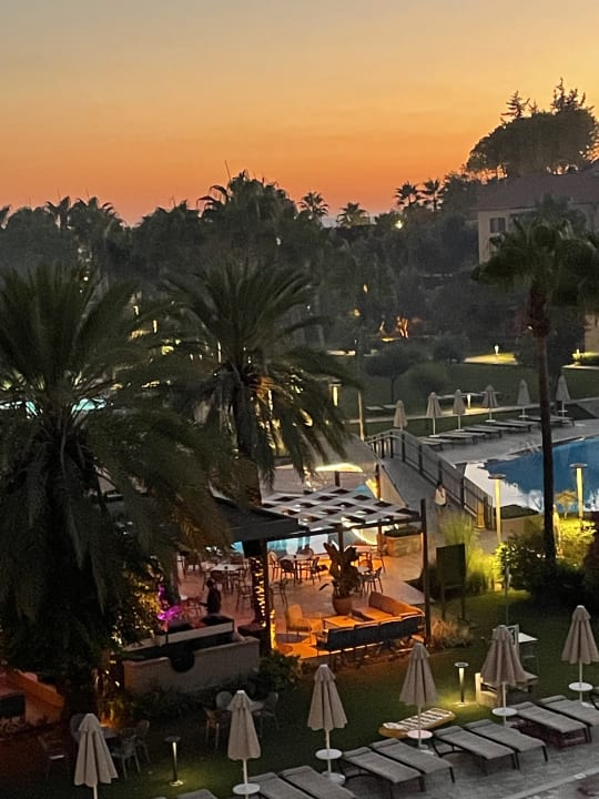 Ausblick Arum Barut Collection