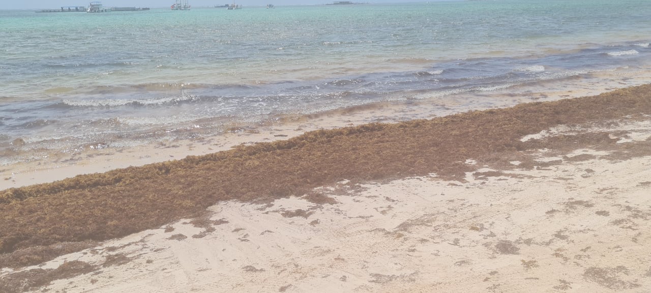 Strand Dreams Royal Beach Punta Cana