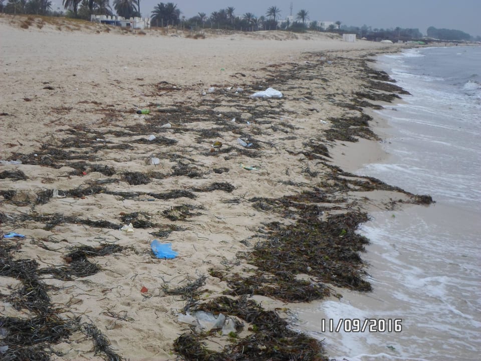 Reinigen Fremdwort Hotel Neptunia Skanes