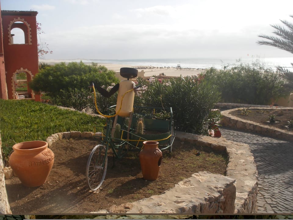 Garten kreativ! Occidental Boa Vista Beach