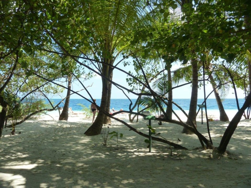 Liegen bei #149 Adaaran Club Rannalhi - All Inclusive