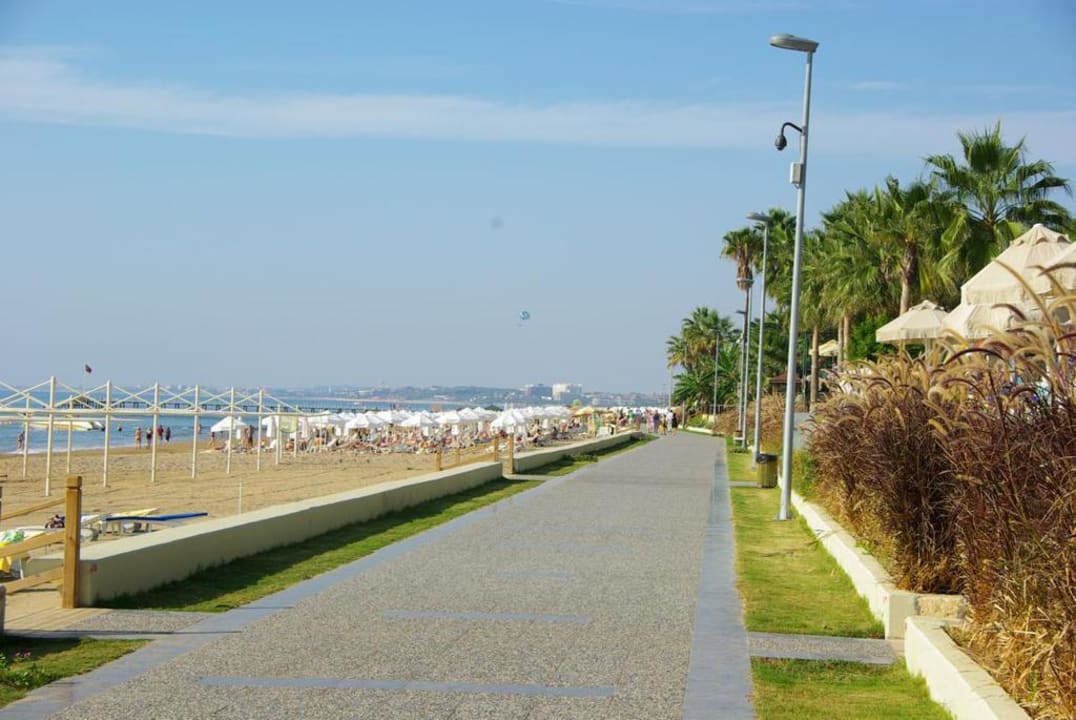 Im November Barut Hemera