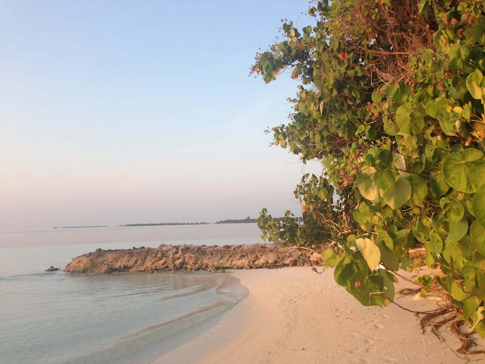 Hotelstrand bei der Abenddämerung Ranveli Village