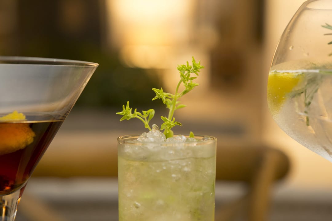 Gastro The Salutation Hotel, Restaurant and Gardens