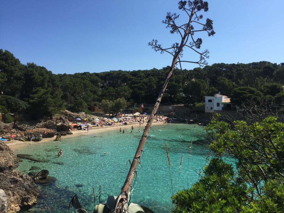 Strand Hotel Cala Gat