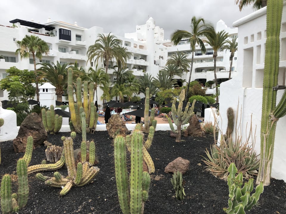 Gartenanlage Dreams Jardín Tropical