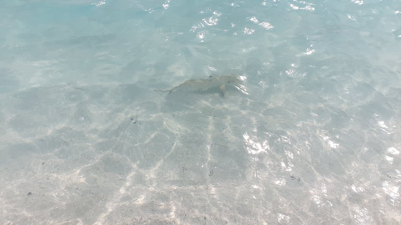 Strand Summer Island Maldives