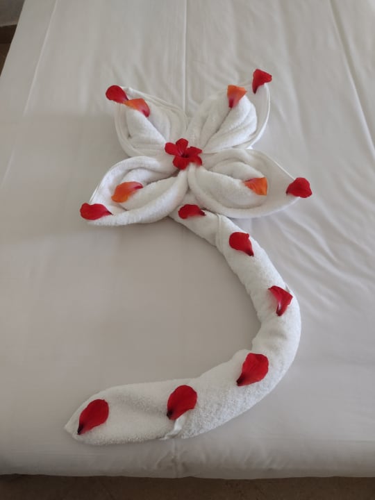 Zimmer Stella Garden Resort & Spa, Makadi Bay