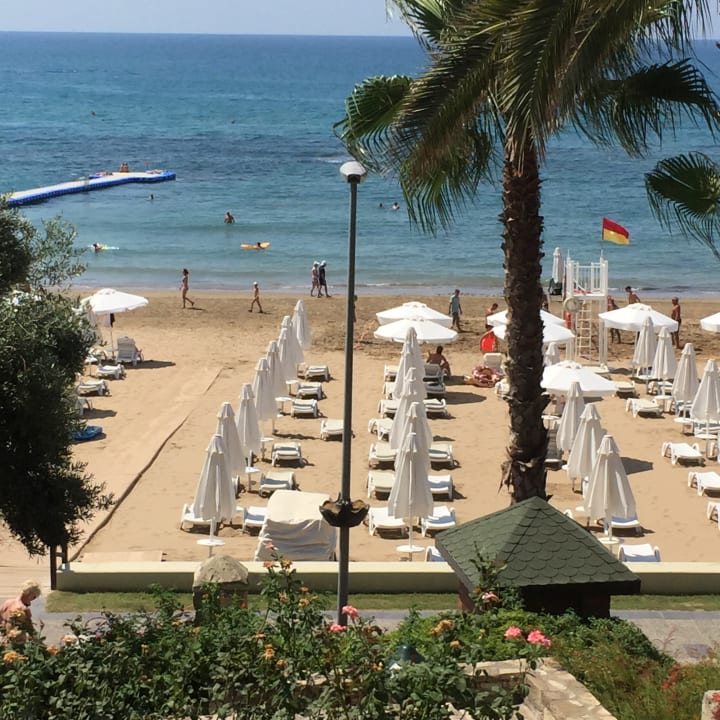 Ausblick Arum Barut Collection