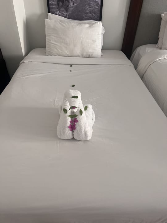 Zimmer Marina Resort Port Ghalib, a member of Radisson Individuals