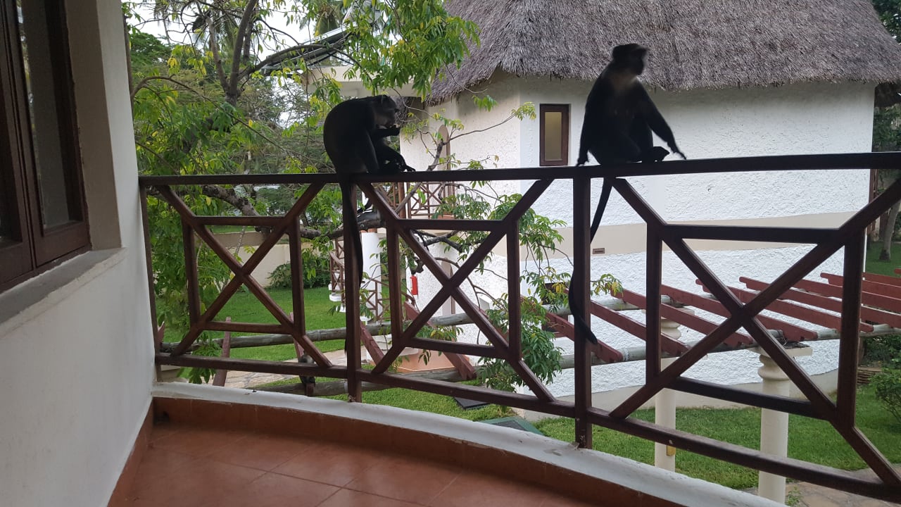 Zimmer Neptune Village Beach Resort & Spa