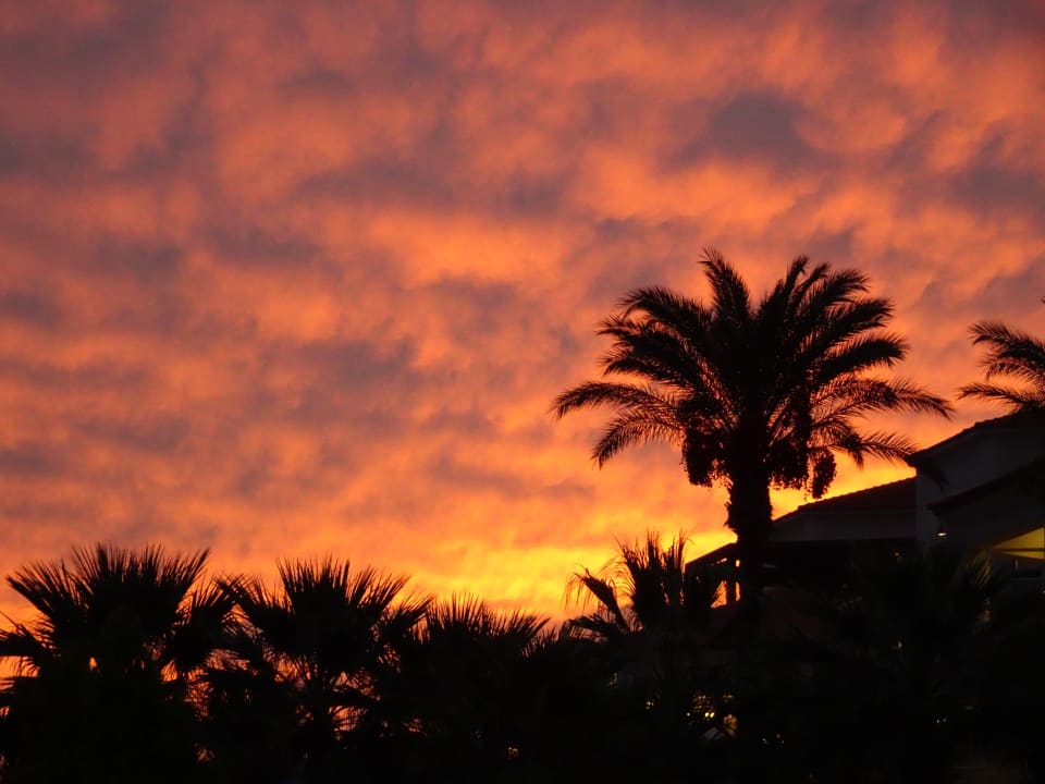 Gartenanlage Rodos Princess Beach Hotel & Spa