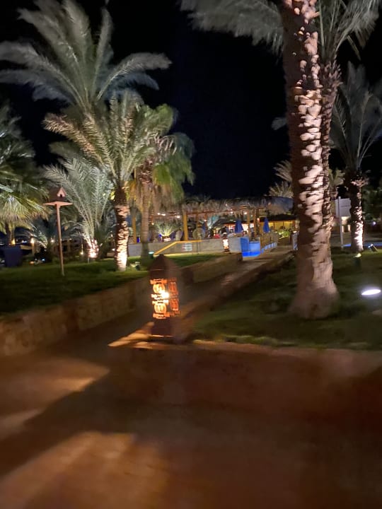 Gartenanlage Fort Arabesque Resort, Spa & Villas