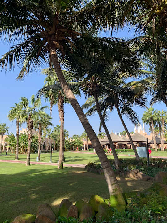Gartenanlage Hotel Riu Cabo Verde