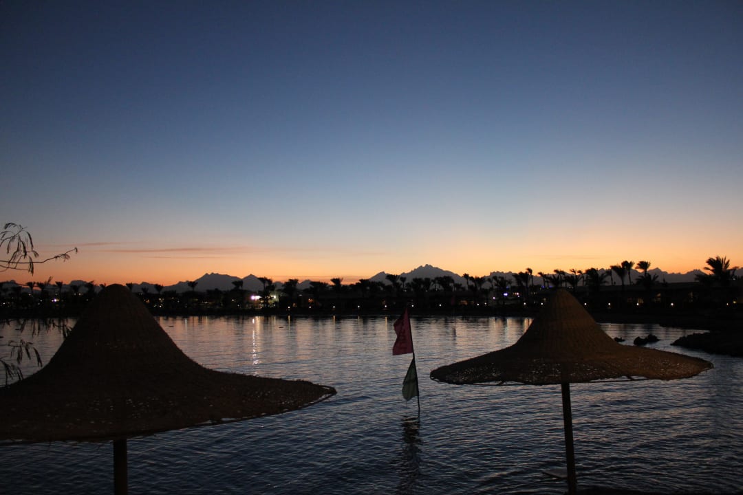 Вид со стороны моря  Desert Rose