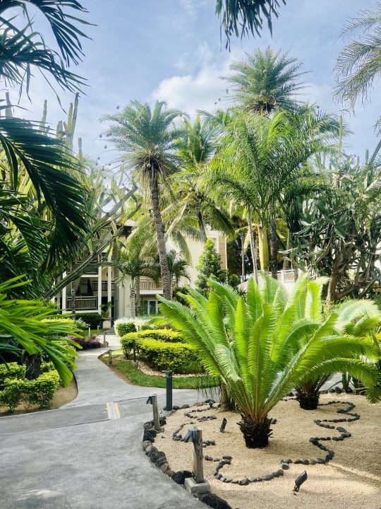 Gartenanlage Lagoon Attitude - Adults only